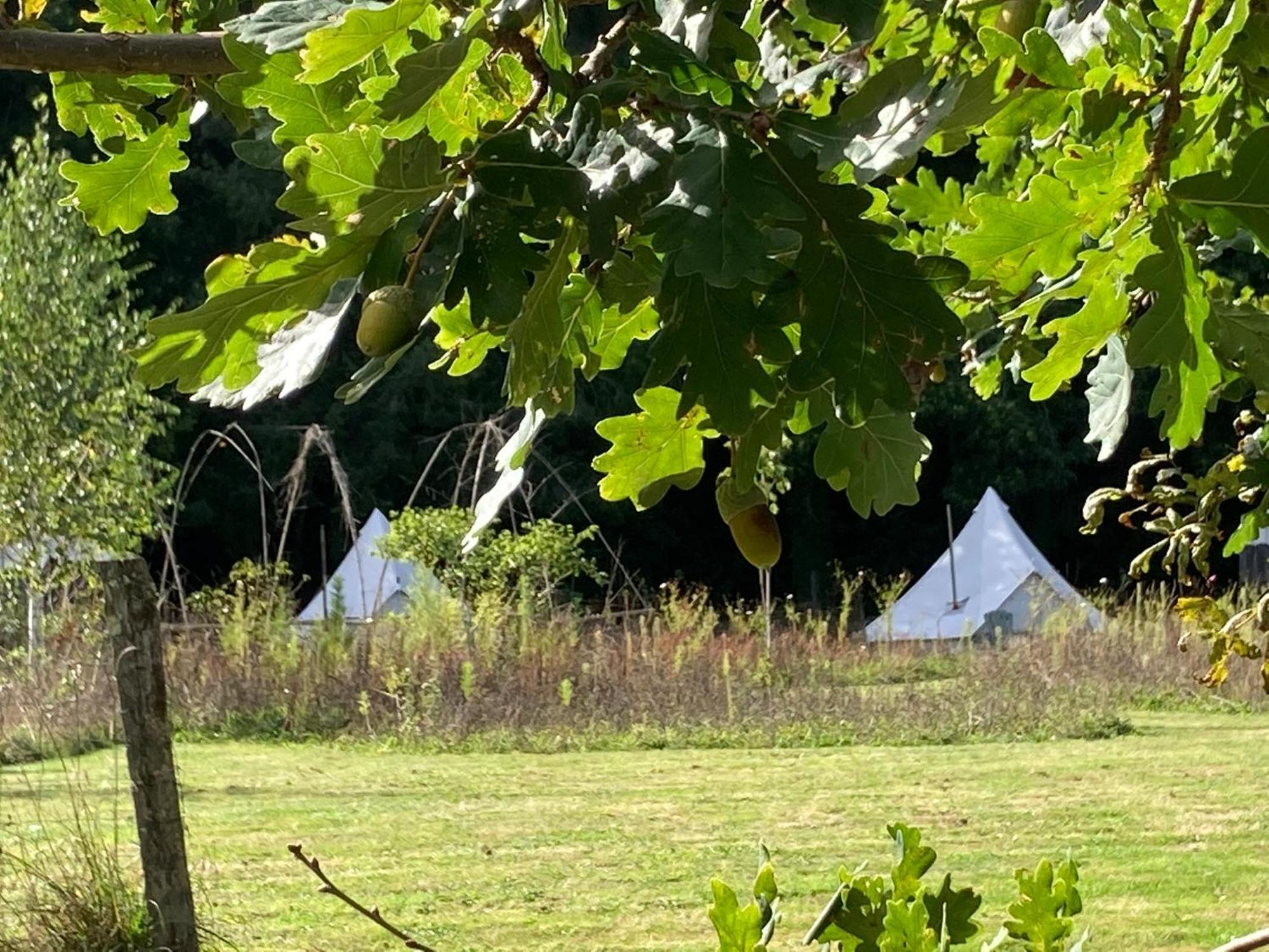 Au Pre Fleuri Eco Glamping Hotell Le Lindois Eksteriør bilde