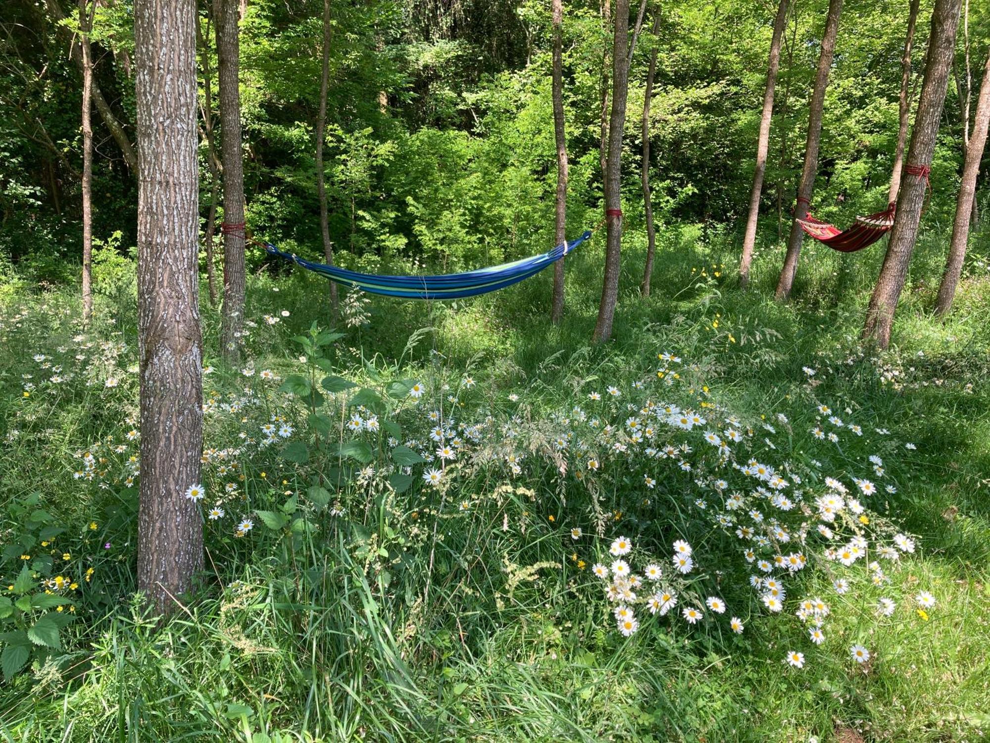 Au Pre Fleuri Eco Glamping Hotell Le Lindois Eksteriør bilde